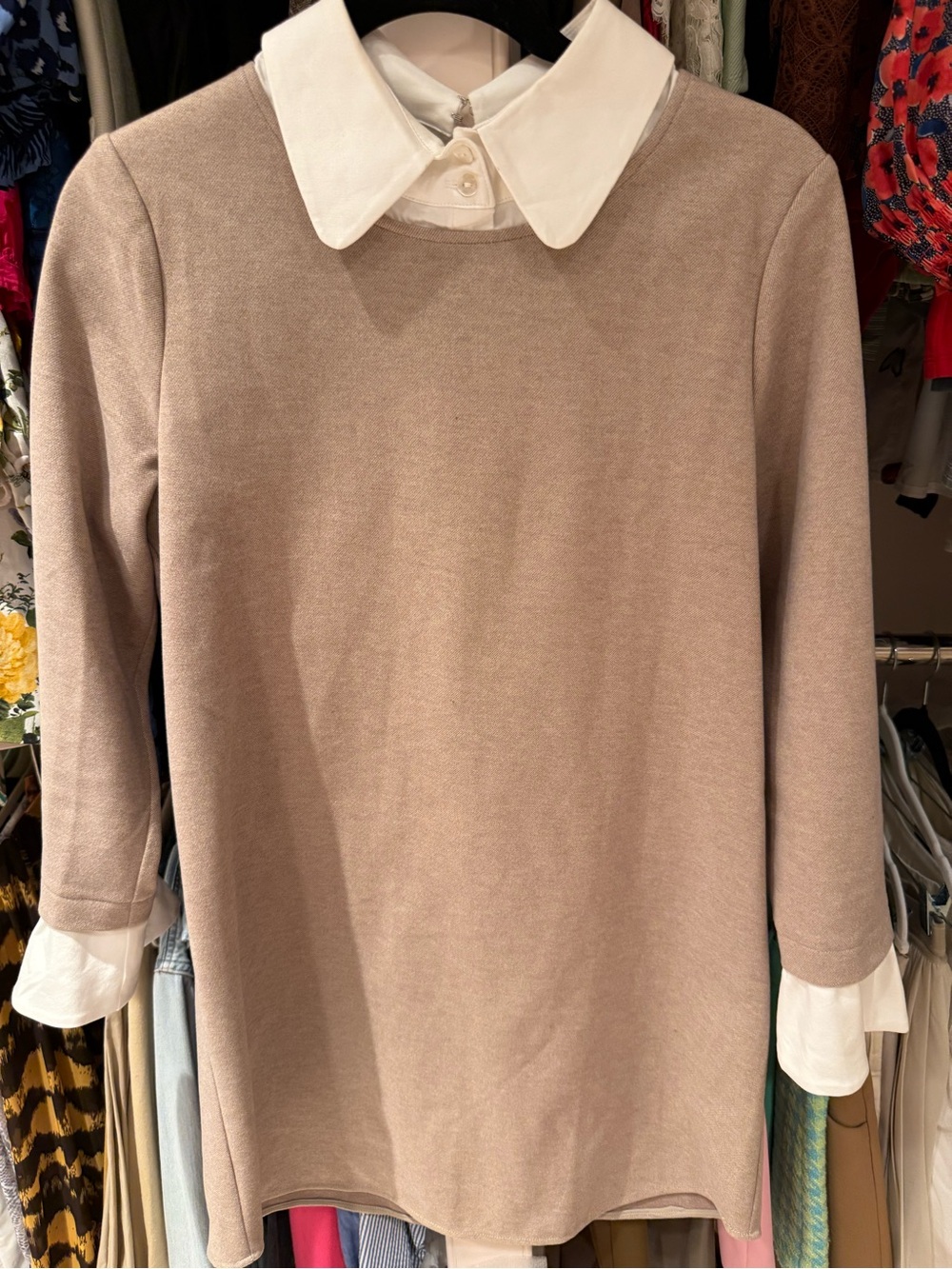 Tuckernut Cream-Tan Layered Peter-Pan Collar Women's Dress